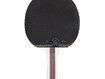 Lauatennisereket inSPORTline Shootfair S3