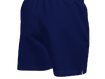 Lühikesd püksid/ujumisshortsid NIKE M ESSENTIAL 5" Volley Short tumesinine