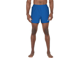 Meeste Lühikesd püksid/ujumisshortsid NIKE M ESSENTIAL 5