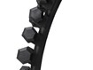 Hantliriiul VirtuFit Dumbbell Rack Standing Deluxe