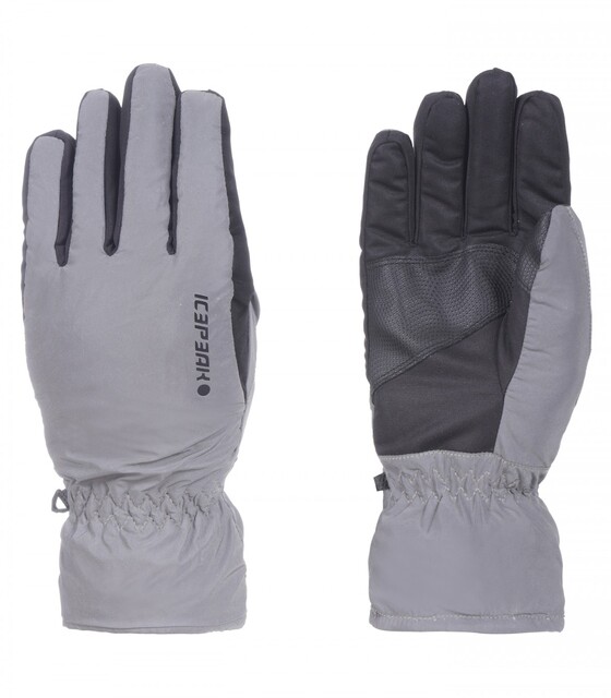 Talvekindad Icepeak Hubbell JR hõbedane 