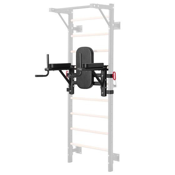 Dipiraam Dip Station for Wall Bars