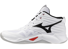 Meeste Võrkpallijalatsid Mizuno WAVE MOMENTUM PRO MID (U) valge/must