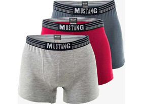 Meeste bokserid Mustang 3 paari pakis värvivalik