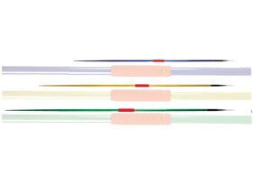 Treeningoda Arctix 700g