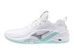 Käsipallijalatsid Mizuno WAVE STEALTH NEO 2(W) valge/helesinine