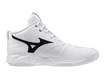 Võrkpallijalatsid Mizuno WAVE MOMENTUM PRO MID valge/must