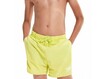 Ujumispüksid Speedo Watershort Essential 13" JR kollane