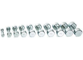 Hantel Gymstick Pro Chrome Dumbbell 10 kg