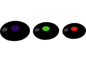 Kettaheite ketas Tremblay kummist 1.5 kg