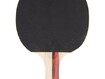 Lauatennise komplekt Insportline Ekiset EK2 4 reketit +3 palli