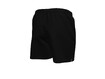 Treeningpüksid/ujumisshortsid NIKE M ESSENTIAL 5" Volley Short must