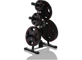 Raskusketaste alus Rack for Olympic Weight Plates Gymstick