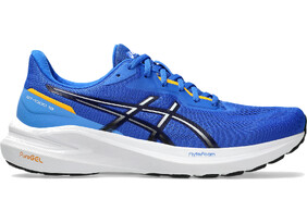 Meeste jooksujalatsid Asics GT-1000 13 sinine/valge