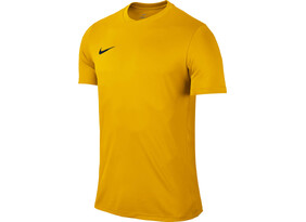 Meeste treeningsärk Nike Park VI Jersey kollane
