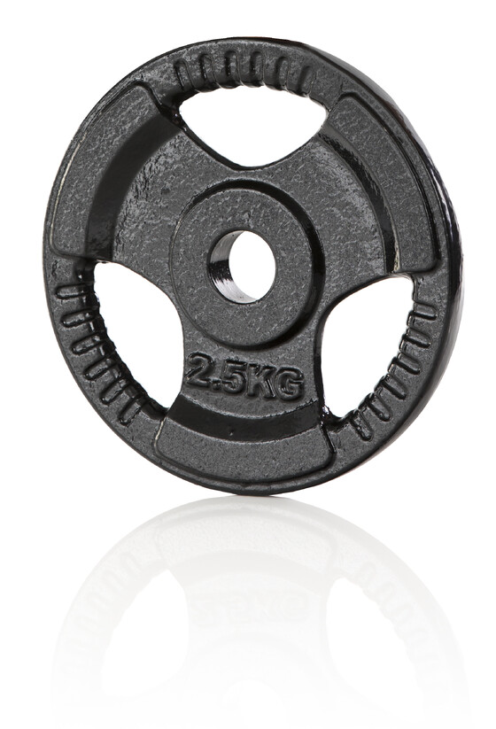 Raskusketas Iron Weight Plate Gymstick 2.5 kg