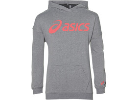 Laste dressipluus Kids BIG ASICS OTH HOODIE hall
