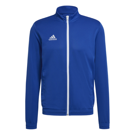 Dressipluus adidas ENT22 GFX JSY sinine