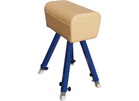 Võimlemiskits, kunstnahast